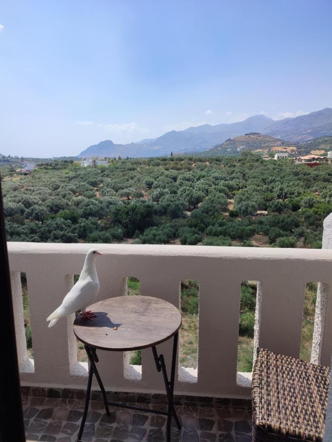 Natural Green Apartment Damnoni Ngoại thất bức ảnh